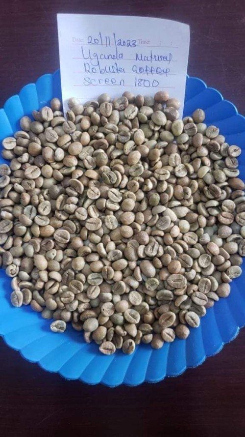 Robusta coffee  Origin: Uganda