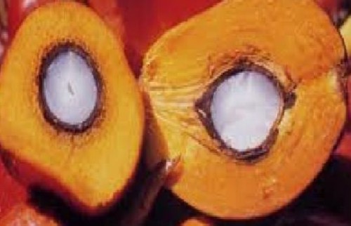 REFINED RBD PALM OIL